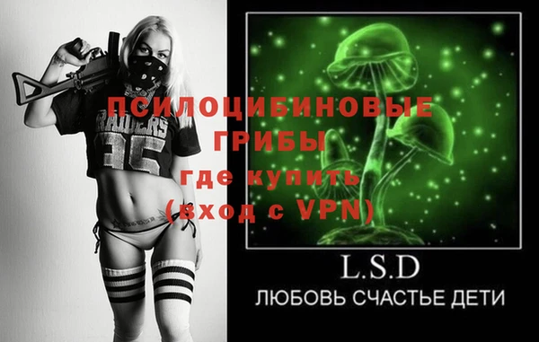 ПСИЛОЦИБИНОВЫЕ ГРИБЫ Абдулино